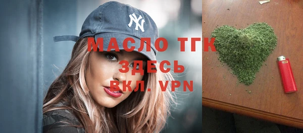 крисы Богородицк