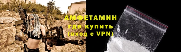 крисы Богородицк