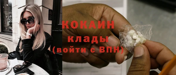 крисы Богородицк