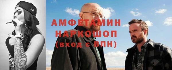 индика Богородск