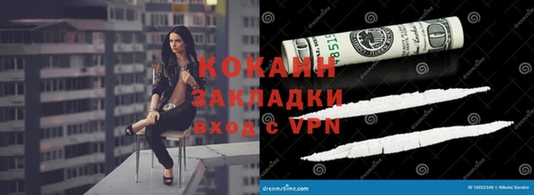 крисы Богородицк