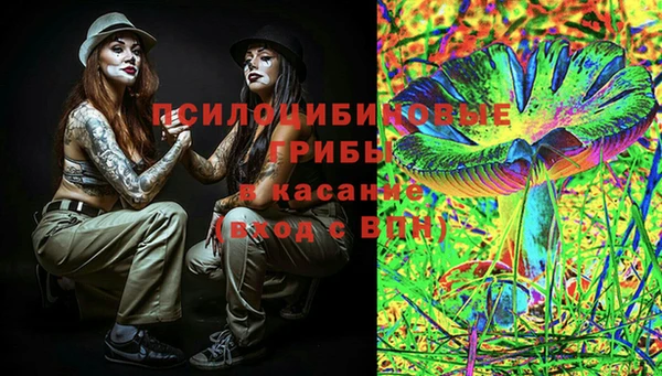 прущие грибы Балабаново