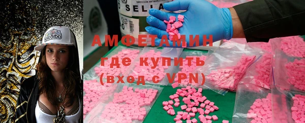 индика Богородск