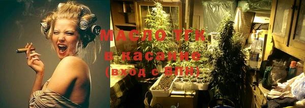 индика Богородск