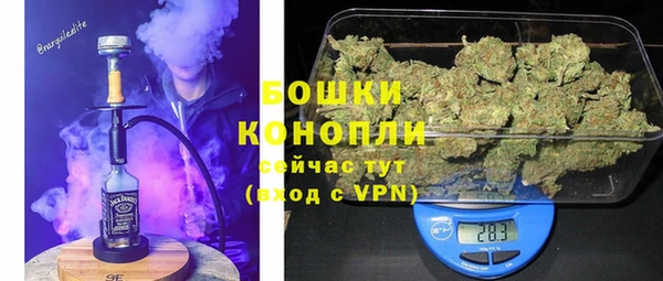 индика Богородск