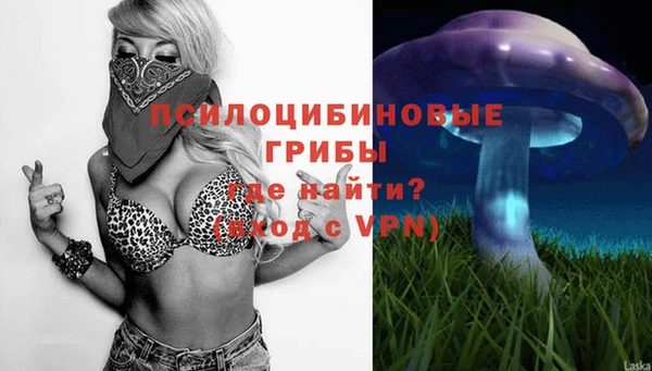 хмурый Богданович