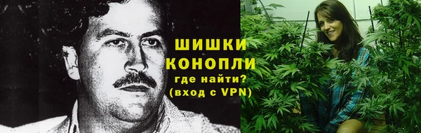 метадон Бородино