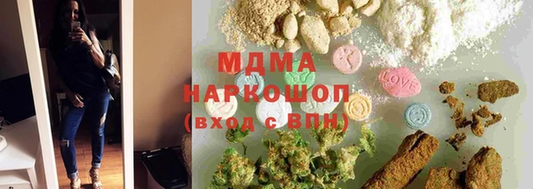 индика Богородск